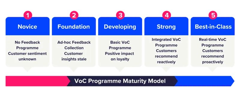 The voice of the customer maturity model