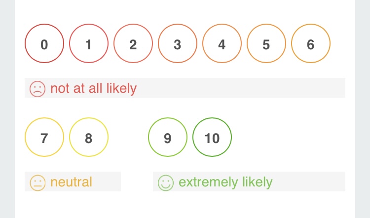 Image of the survey scale described in the preceding paragraph.