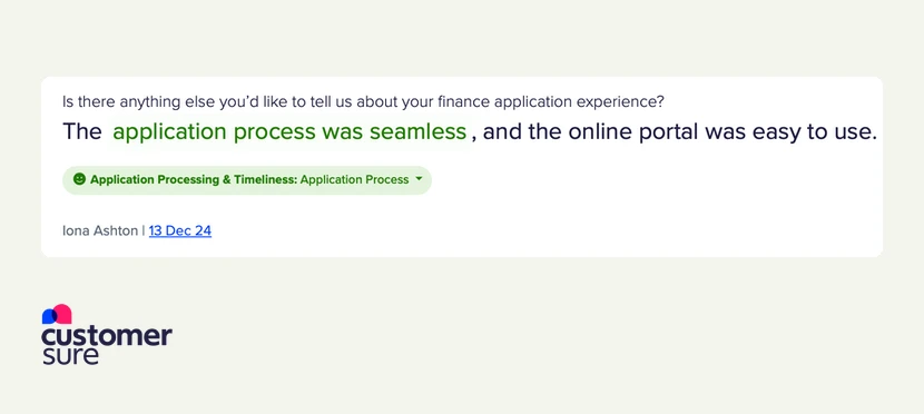 Screenshot showing the topic "Application process" with a positive sentiment applied to some customer feedback