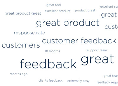 CustomerSure word cloud